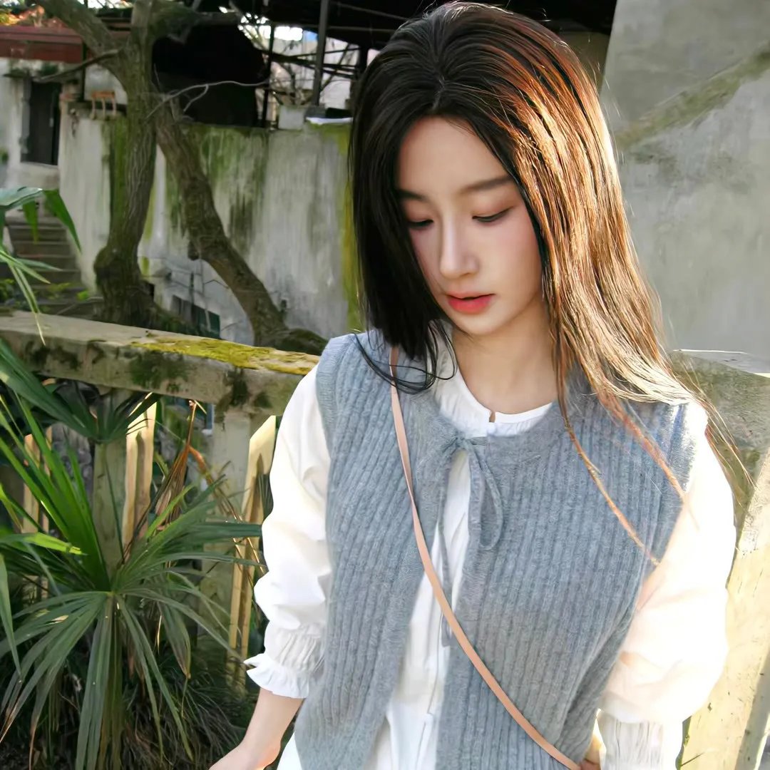 南拳蔡李佛国语